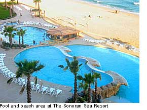 Swimming Pool Area on the Beach in Rocky Point, Mexico