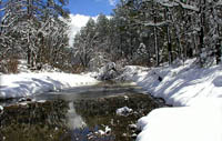 Strawberry Snowfield 